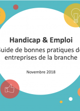 Employment Policies for Persons with Disabilities 