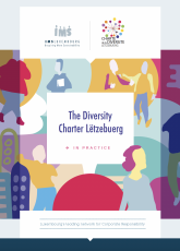 The Diversity Charter Lëtzebuerg, in practice