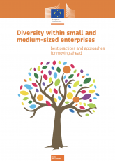 Diversity within small and medium-sized enterprises