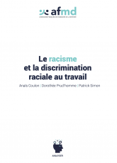 Racism and racial discrimination in the workplace (FR)